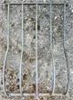 Fenstergitter mit Blumenauswuchtung